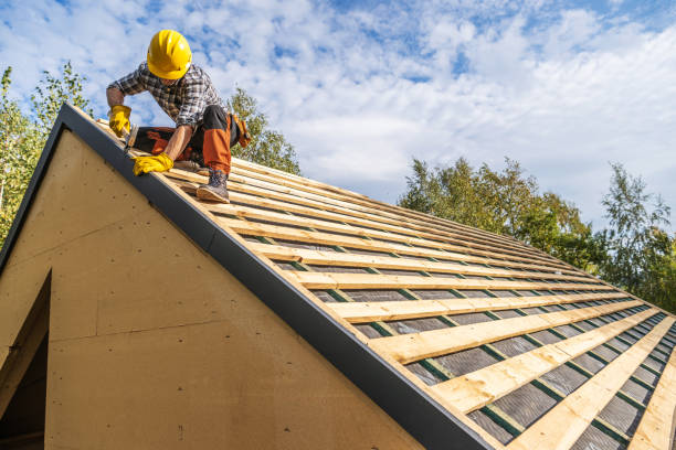 Best Storm Damage Roof Repair  in Chinle, AZ