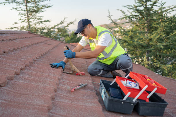 Roof Waterproofing Services in Chinle, AZ
