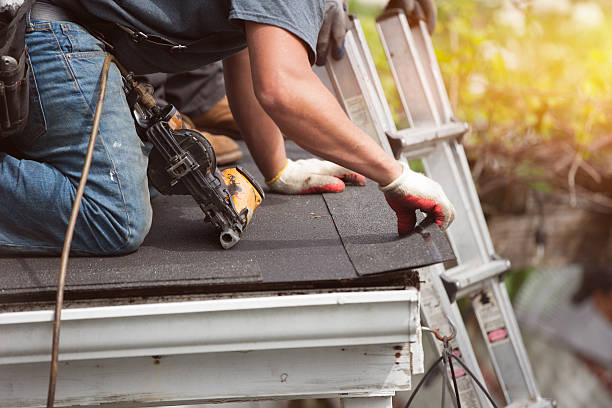 Best Roof Gutter Cleaning  in Chinle, AZ